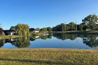 Image de Duck Pond View