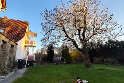 Image de Vacation home for families/groups with sauna, oven and large garden with barbecue