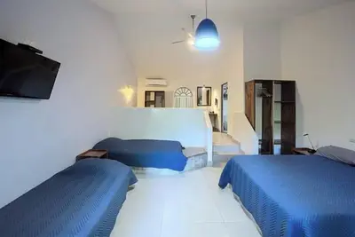 Image de Nahua Room. Monkeys, Salt Water Pool, Ranchito/Bbq!