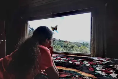 Image de Virche Farm