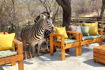 Image de Lenny's Den - bordering Kruger National Park