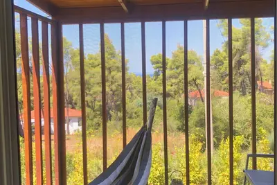 Image de The PineCabin, a sweet little house surrounded by pine trees and cute squirrels!