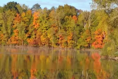 Image de Lakeshore Escape:  3-bedroom, pet friendly home, 10 min from Turnpike