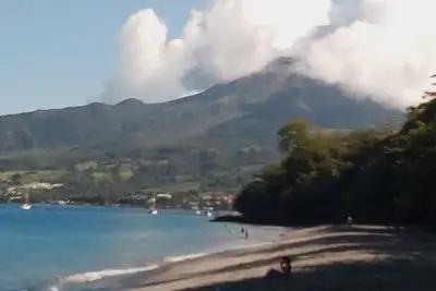 Image de Le Lys de la paix
