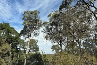 Image de Getaway in the Adelaide Hills