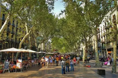 Image de Authentic 19th-Century Charm in the Heart of Barcelona