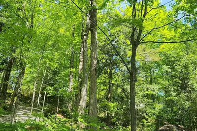 Image de Waterfront beautiful cottage (4 bedrooms)on Shadow lake