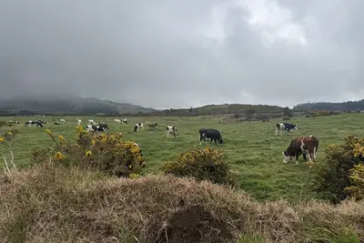 Image de L'Eden De La Grande Ferme
