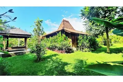 Image de Private, tropical garden, authentic wooden house