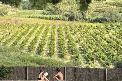 Image de Boutique Manor Farmhouse, pool & vineyard views, 35' Barcelona, 25' Sitges