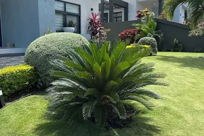 Image de Modern spacious 3bedroom home in the beautiful hills of ocho rios