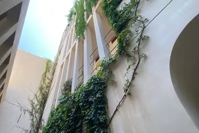 Image de Pent House Located in the heart of Punta Zicatela, comfort and tranquility.