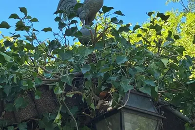 Image de 4 chambres dans une maison éco rénovée, au coeur d'un magnifique écrin de nature