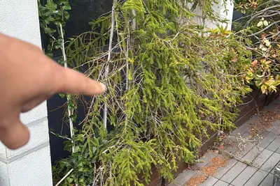 Image de Penthouse Marbella Benahavis