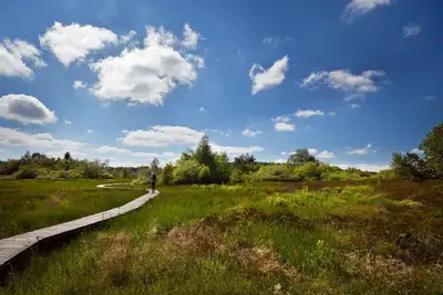 Image de Gîte des hortensias\n\nGîte à la ferme 5 chambres, 10 lits, 12 personnes