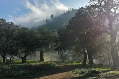 Image de Harrison Serenity Ranch - Groups over 50