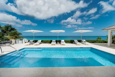 Image de Blue Oyster Summary: