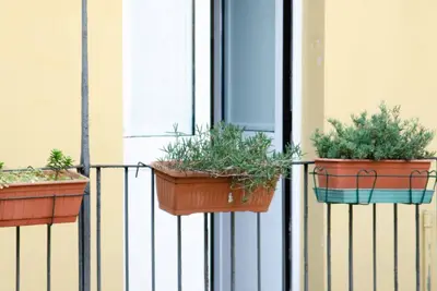 Image de [zona centrale -Il nido sulla Mole]