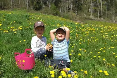 Apartment Hang - Apartments Broger