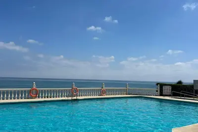 Image de Sea bass of the sun