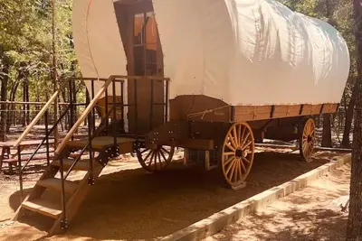 Image de Conestoga Wagon 2 -Wildlife Encounters and a Wild West Wagon!
