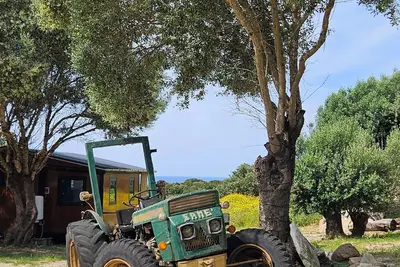 Image de Grande Chambre tout confort