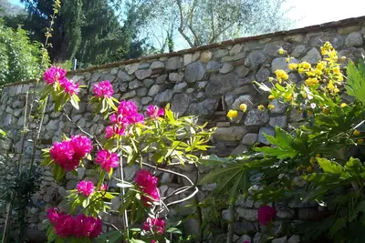Image de Villa 'Olivi' avec piscine partagée, jardin privé et Wi-Fi