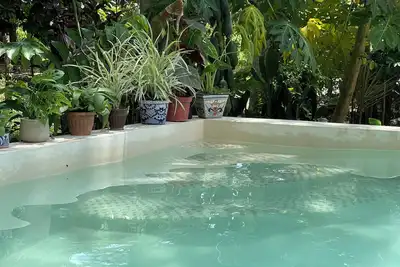 Image de House in the jungle 2 Bedrooms, Equipped Kitchen & Alberca