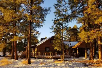 Image de Cabin Escape surrounded by ponderosa pine trees and beautiful mountains.