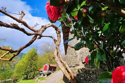 Image de Casa das Cerejeiras près du Gerês