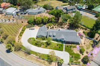 Image de Female Only Please Surf, Wine, Vineyard, Beach Lovers