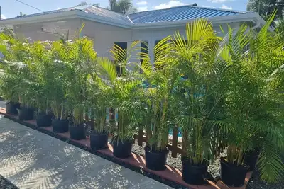 Image de Bungalow Marie Galante 1 ou 2 personnes