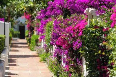 Image de Casa MÍA - Villacana - on the beach with pool view