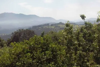 Image de Newly Renovated Designer House 10 mins from Beach, Great location