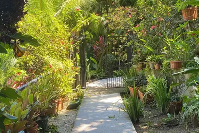 Image de Carpenter. A paradise in the middle of nature.