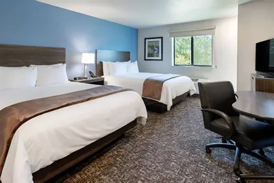 Image de Pet-Friendly Studio Perfect for Family Adventures and Professionals on Business