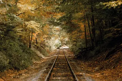 Image de Charming 3-bedroom cottage on the creek with Ac