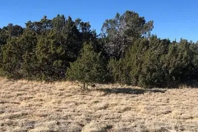 Image de A Survivalist Experience - Bring your own everything