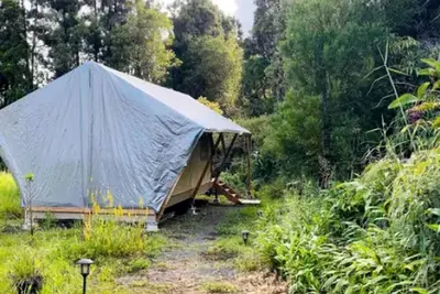 Image de Luxurious Tent for a Romantic Getaway in Mountain View Village, Hawaii