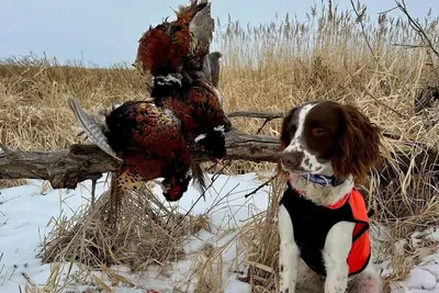 Image de Calvert Creek Hunting Lodge