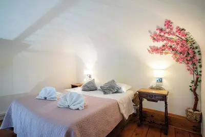 Image de 1 - Mono silenzioso vicino al centro