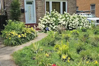 Image de Urban Oasis