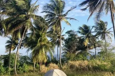 Image de Camping Barbados #1 Bring Your Own Tent