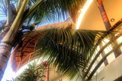 Image de Tua Tulum 5/ spacious, comfortable, with all amenities, pool and parking space