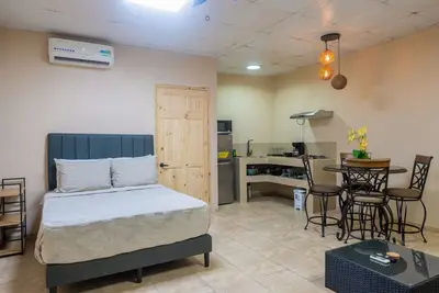 Charming studio with full kitchen, fast WiFi, shared laundry & cozy sofa bed