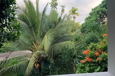 Image de Welcome to shalom breaze