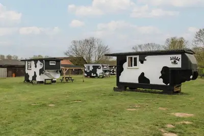 Image de Carabelle (Cow Shed 7), character holiday cottage in Campsea Ashe