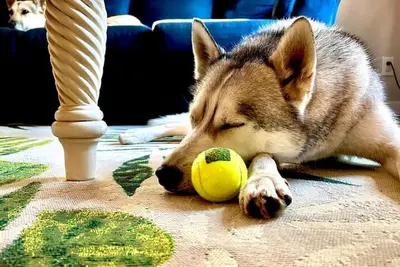 Image de The Circus City Retreat