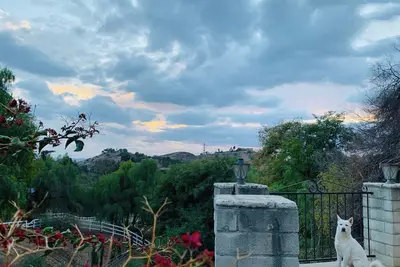 Image de Breathtaking Views Near Hollywood Studios