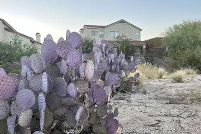Image de TheDesertOasis@ #LambertPark:4bd, Mountain Views, Gym, Hoa Pool&Spa, PoolTable, CottonBedding